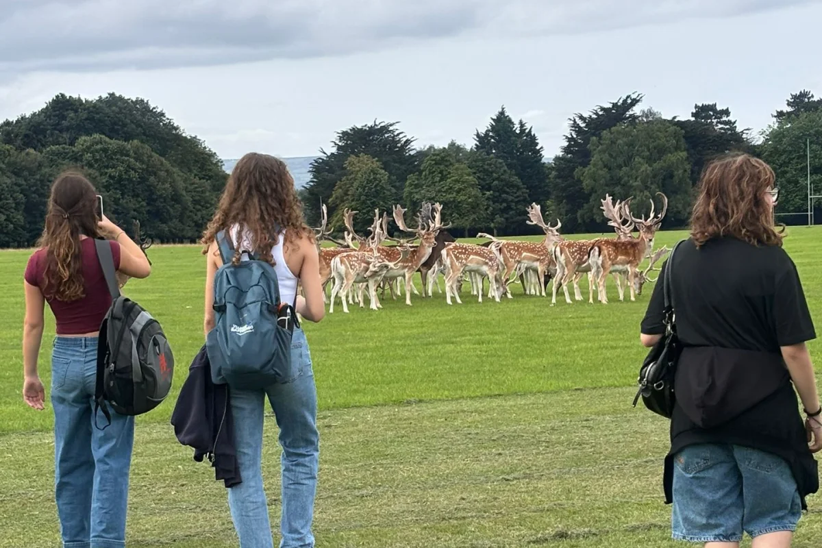 Dublino Centro, Emozione Urbana - Escursioni