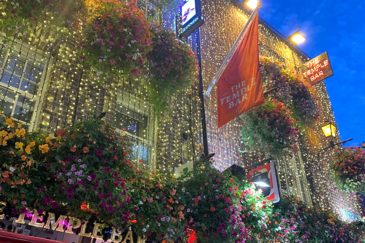 Dublino 18+ Young Adults Experience - Escursioni