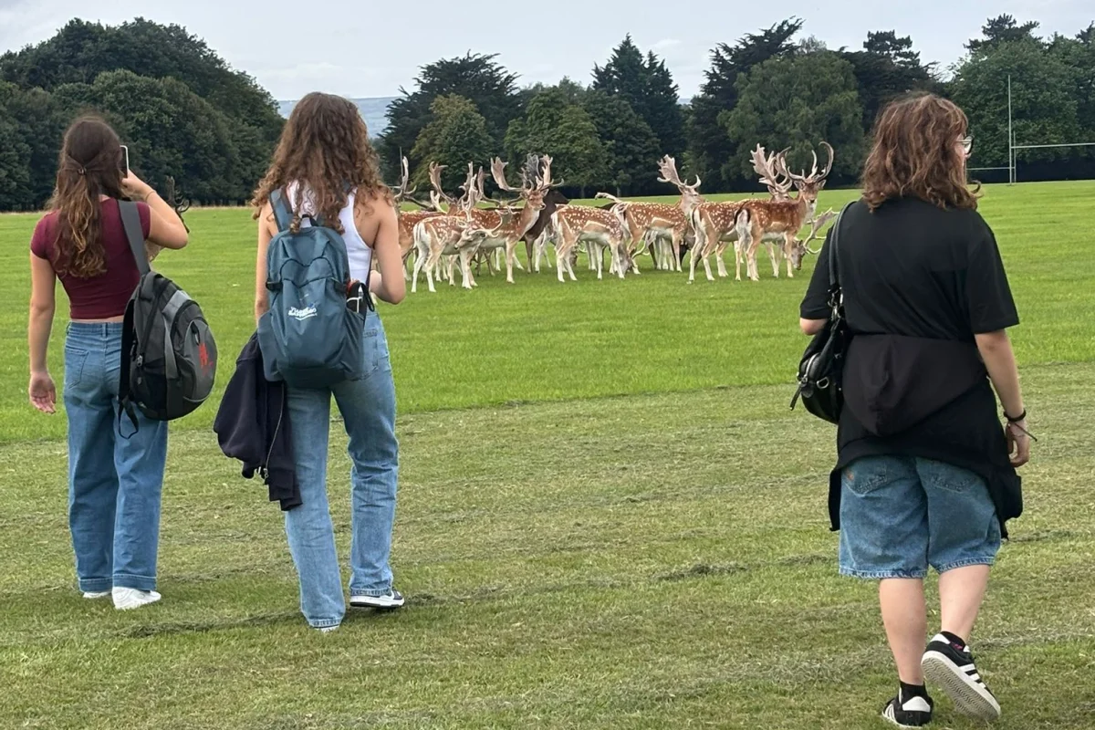 Dublino 18+ Young Adults Experience - Escursioni