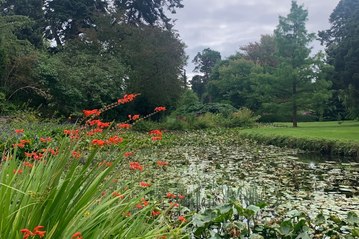 DUBLINO MAGIC IRELAND - Escursioni