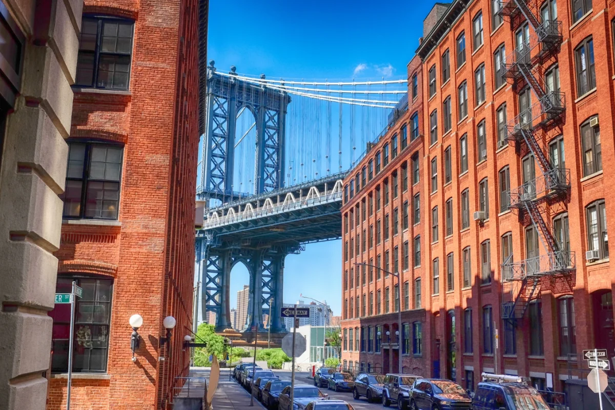 New York Green Campus: St. John’s University + Tour Harvard - Escursioni