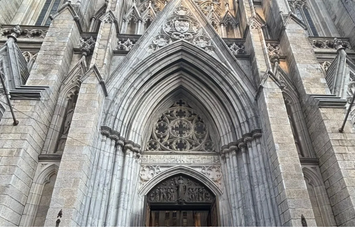 New York Green Campus: St. John’s University + Tour Harvard - Escursioni