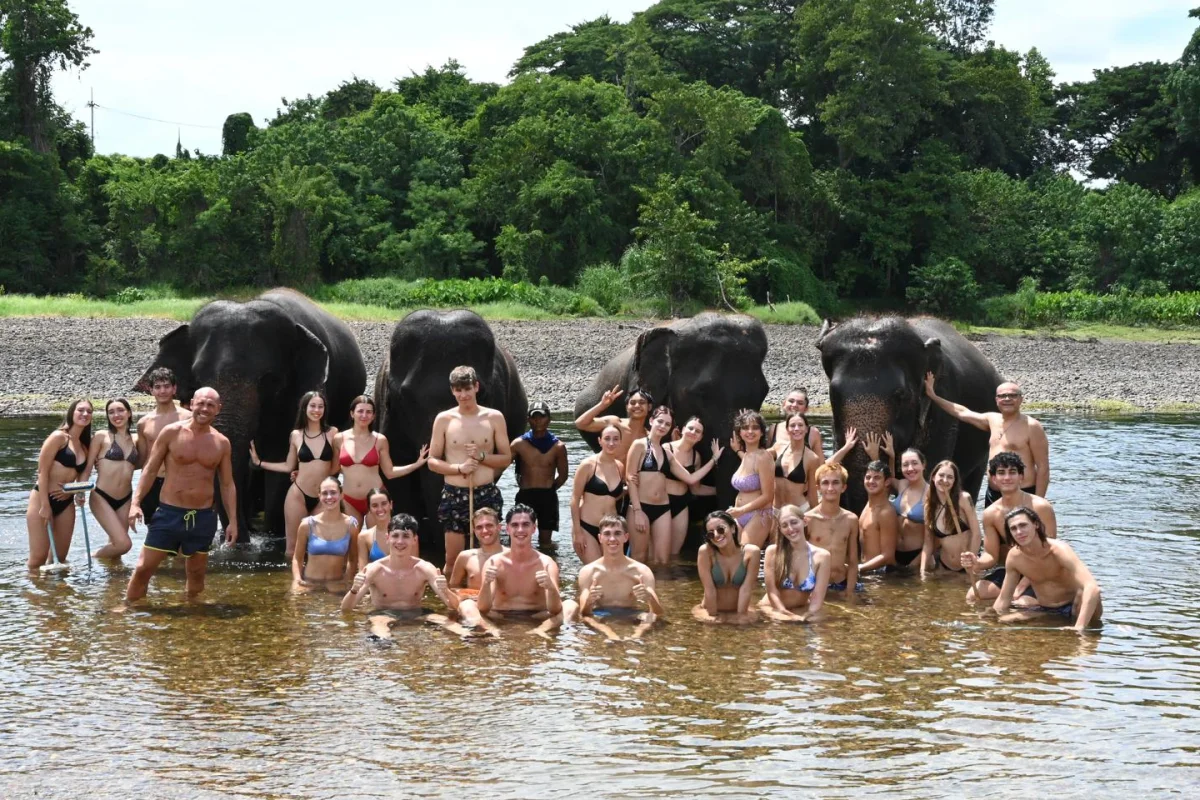 Bangkok & Jungle: Templi, Cascate e Grattacieli - Escursioni
