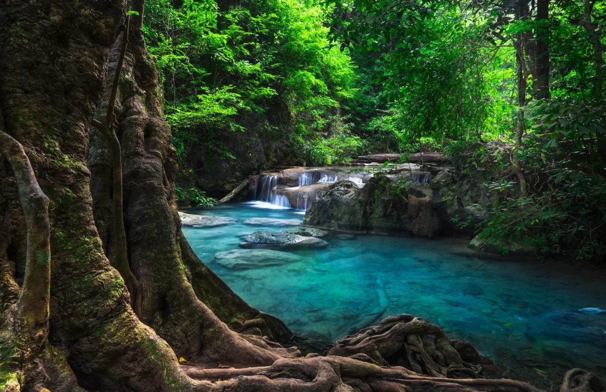 Bangkok & Jungle: Templi, Cascate e Grattacieli - Escursioni