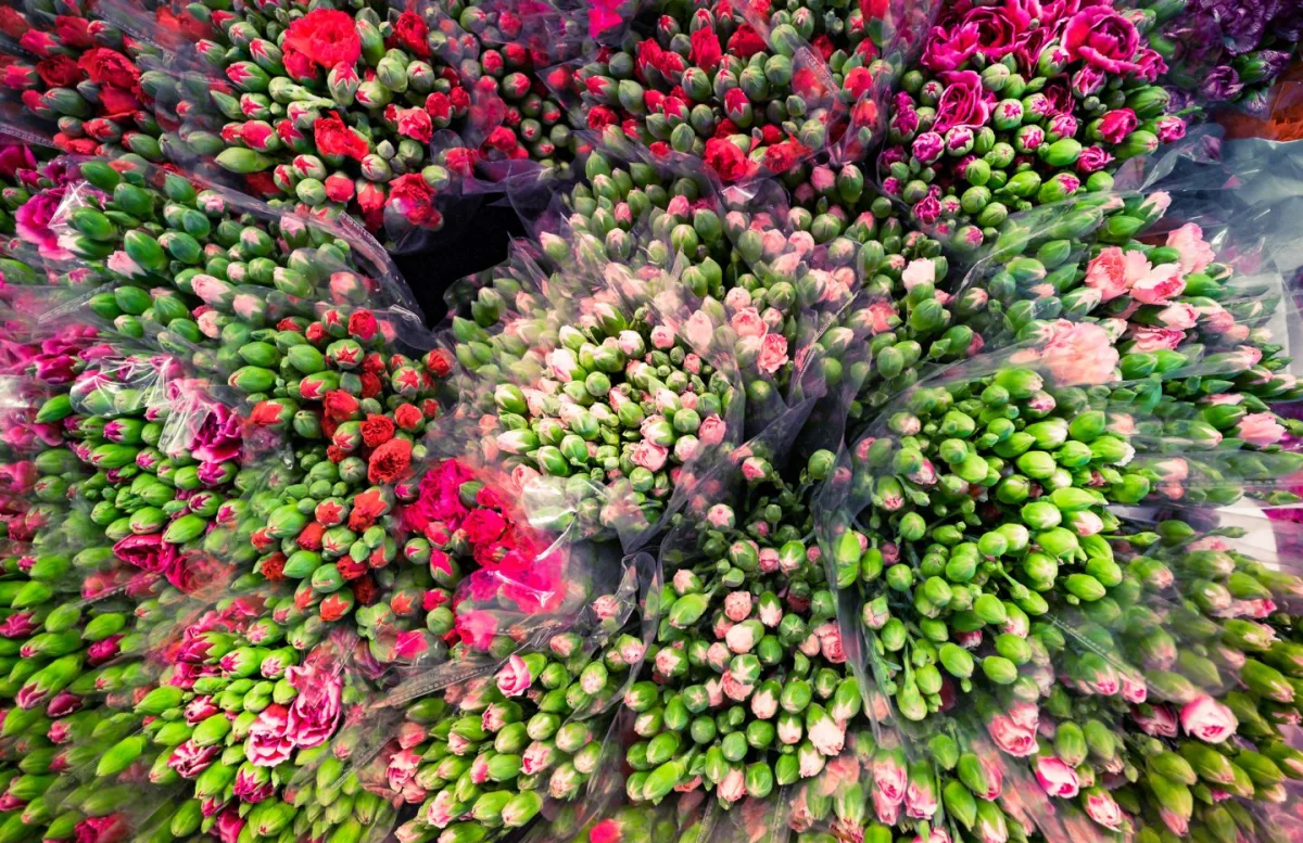 Bangkok & Jungle: Templi, Cascate e Grattacieli - Escursioni