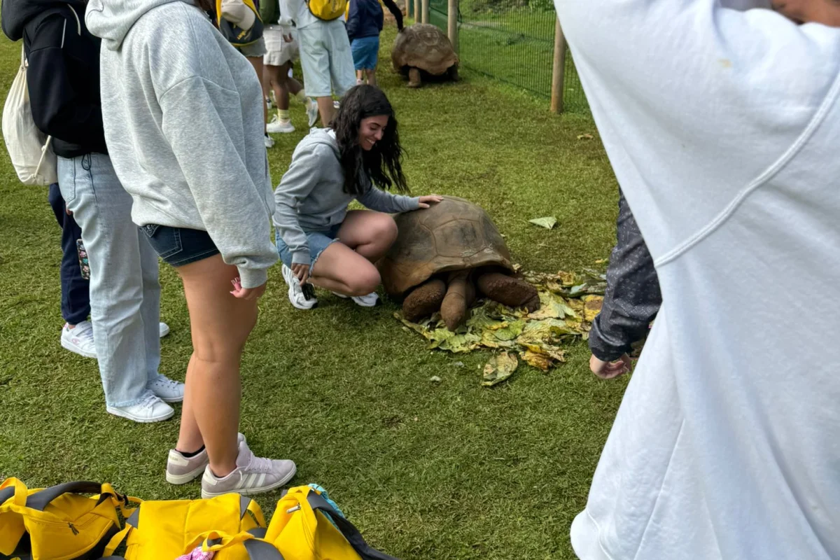 MAURITIUS TROPICAL DREAM - Escursioni