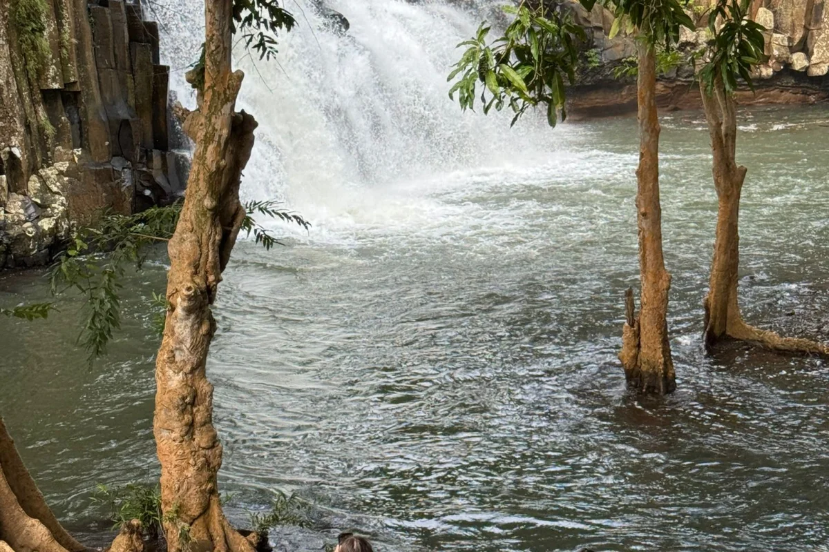 MAURITIUS TROPICAL DREAM - Escursioni