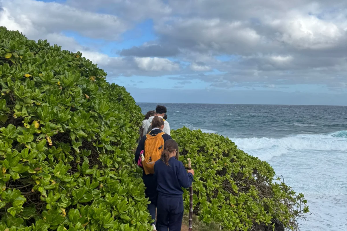 MAURITIUS TROPICAL DREAM - Escursioni