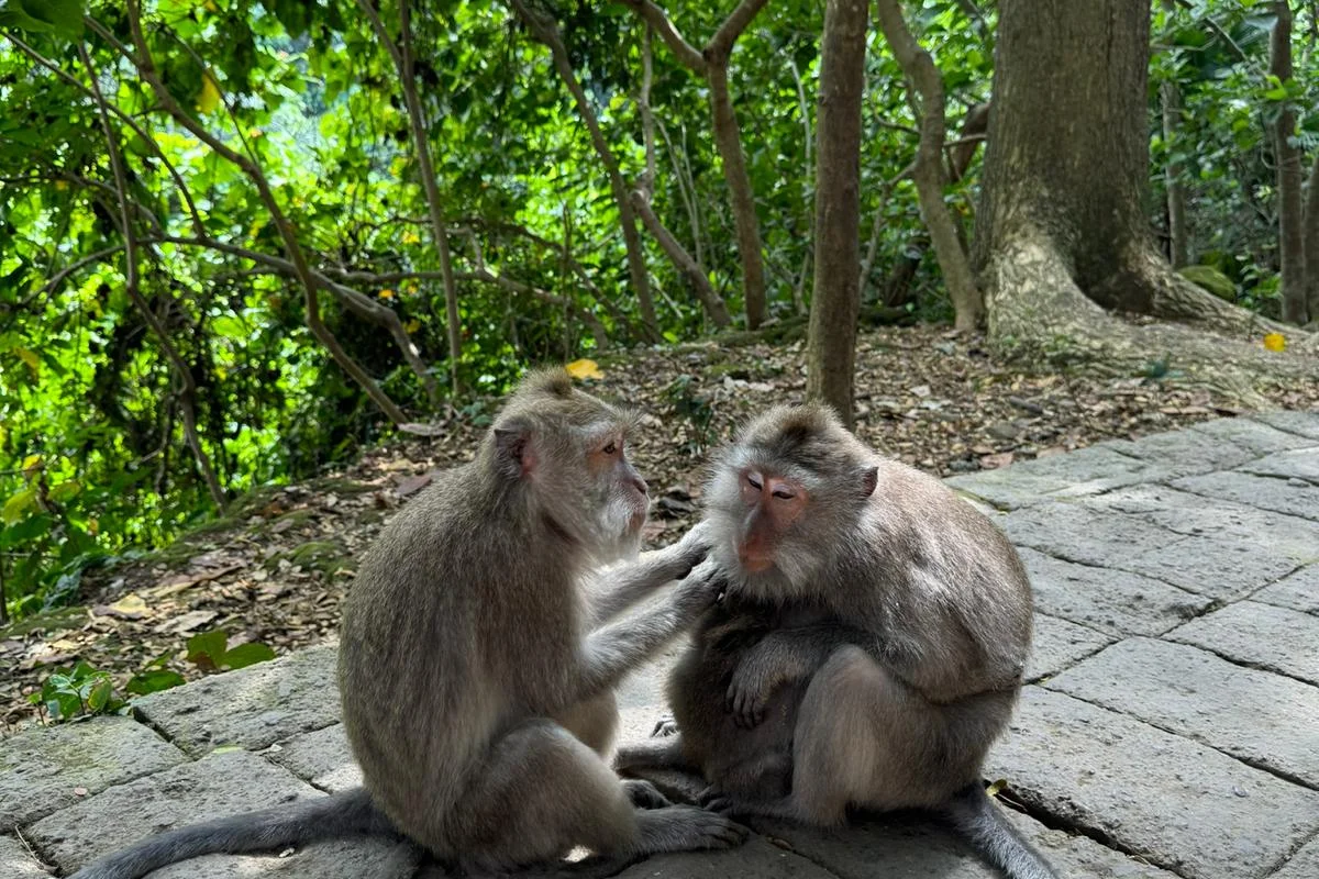 BALI WILD EXPERIENCE - Escursioni