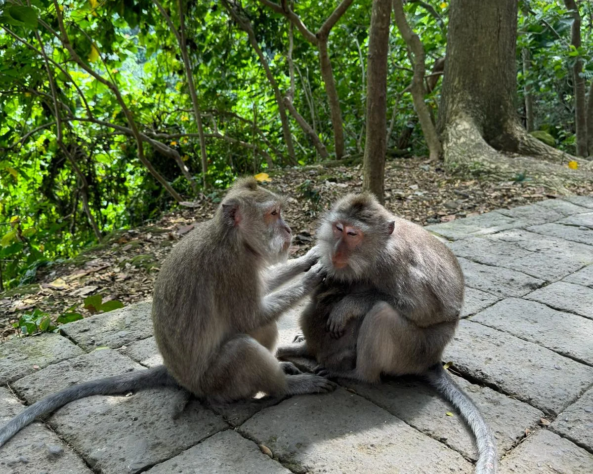 Bali Wild Experience: Surf, Rafting & Snorkeling - Escursioni