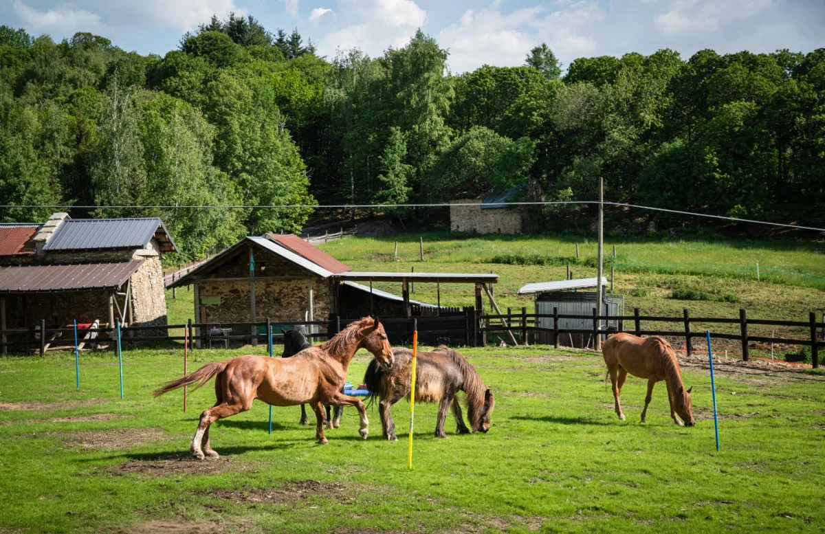 Frabosa: Avventura sulle Alpi Piemontesi - Escursioni