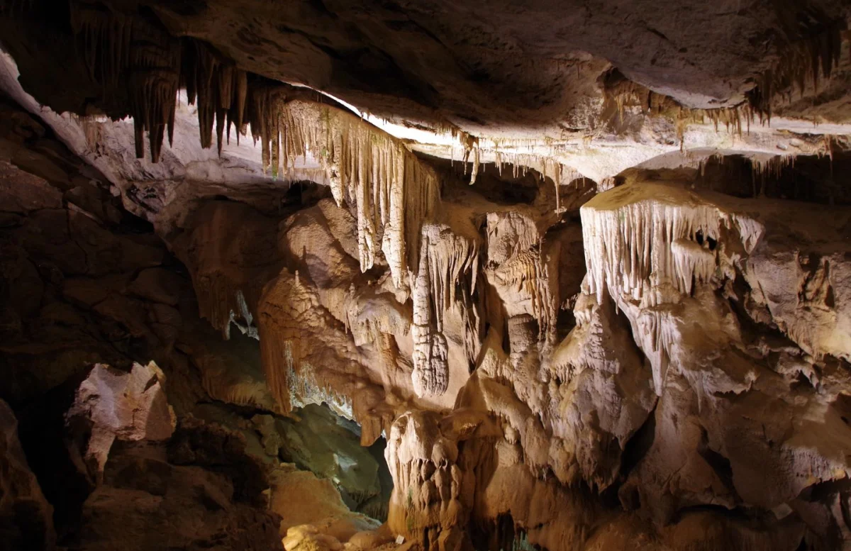 Frabosa: Avventura sulle Alpi Piemontesi - Escursioni