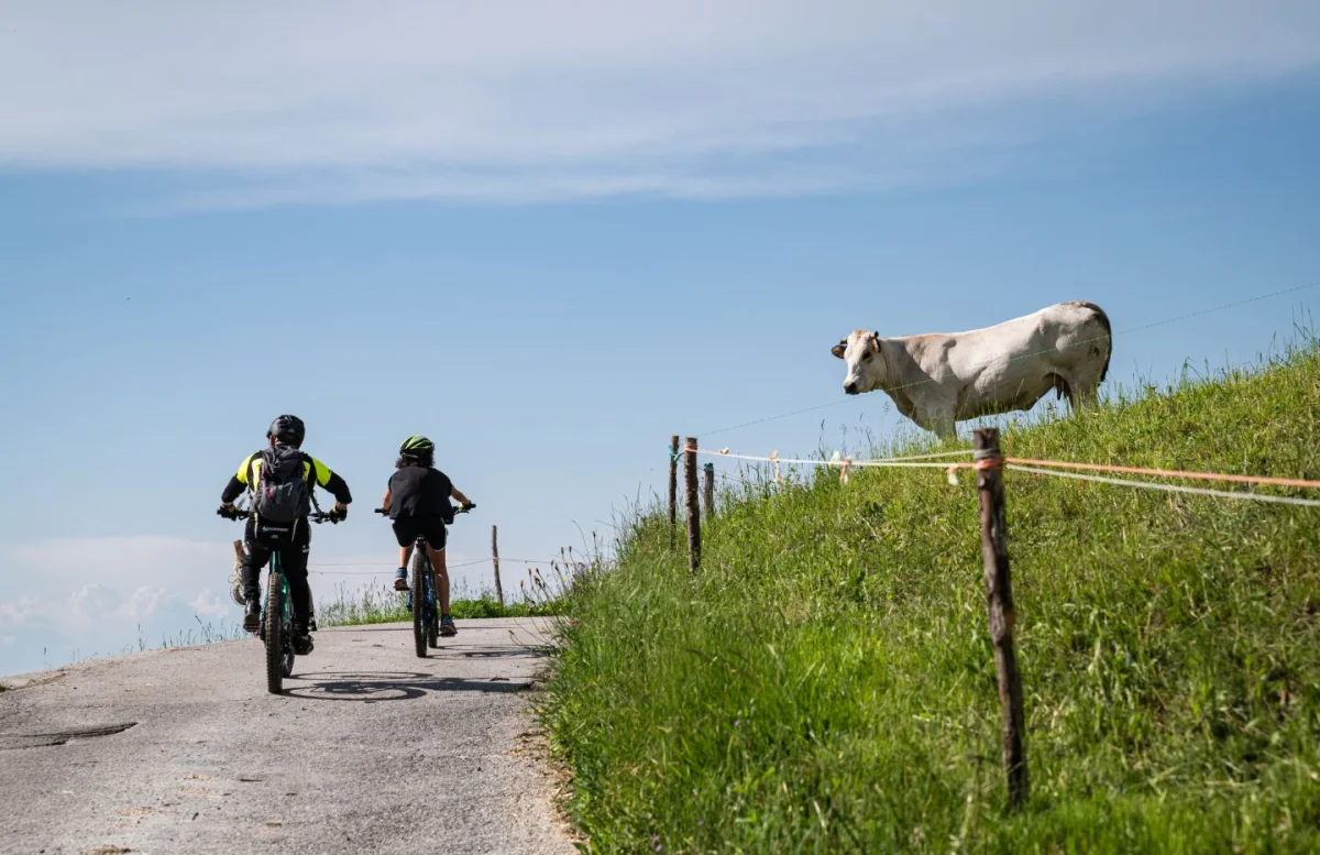 Frabosa: Avventura sulle Alpi Piemontesi - Escursioni