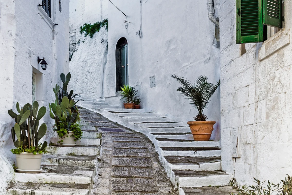 Salento: Inglese sul Mare Cristallino - Escursioni