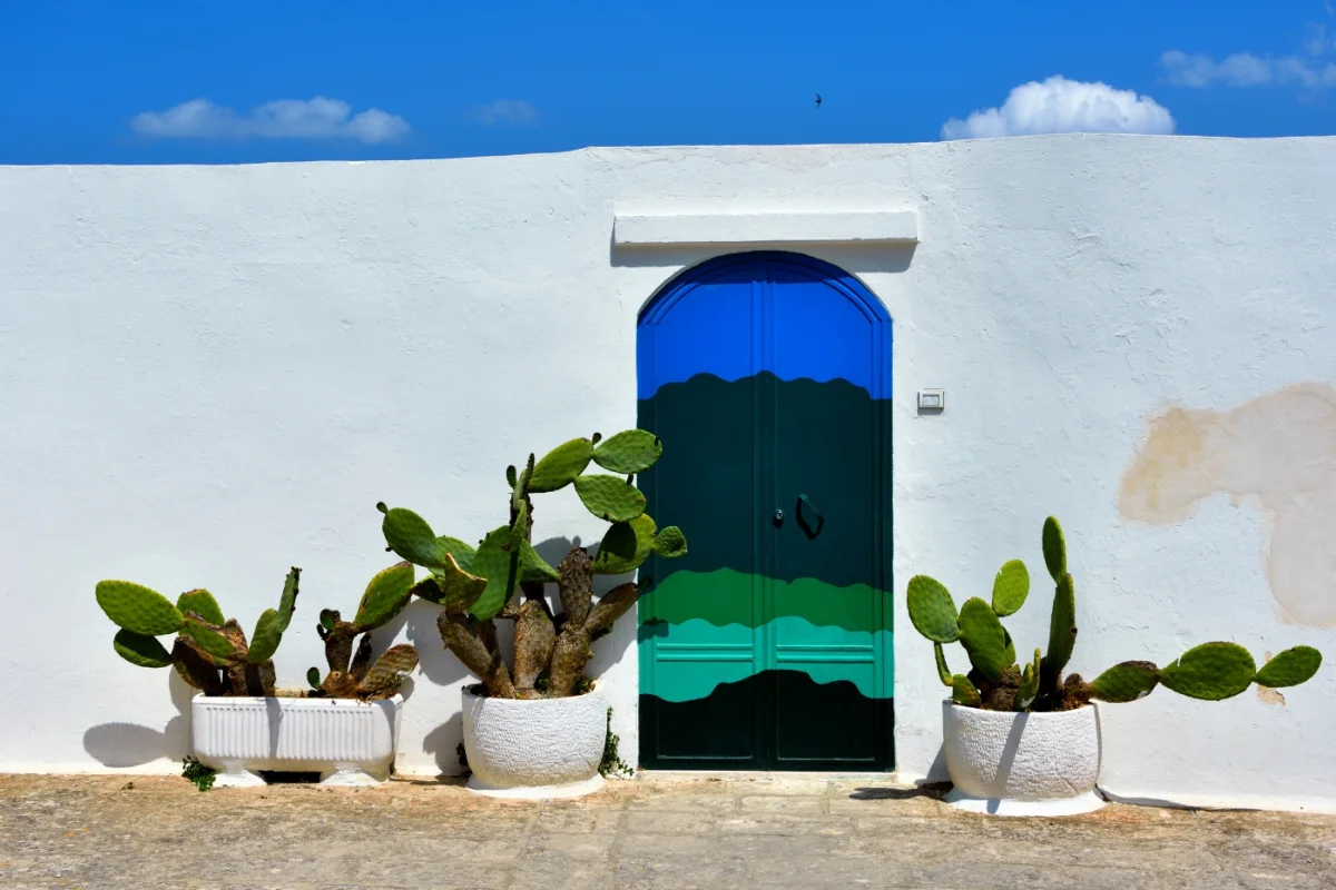 Salento: Inglese sul Mare Cristallino - Escursioni