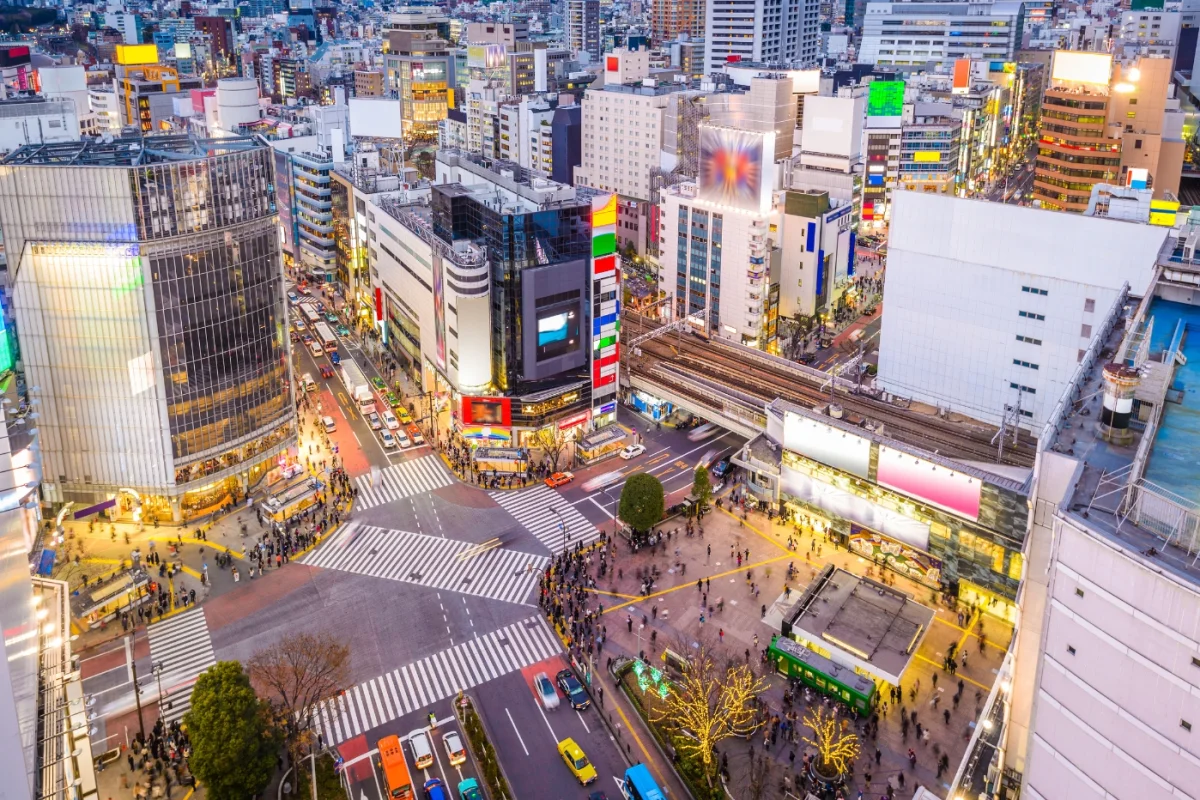 Tokyo, The Japanese Experience - Escursioni