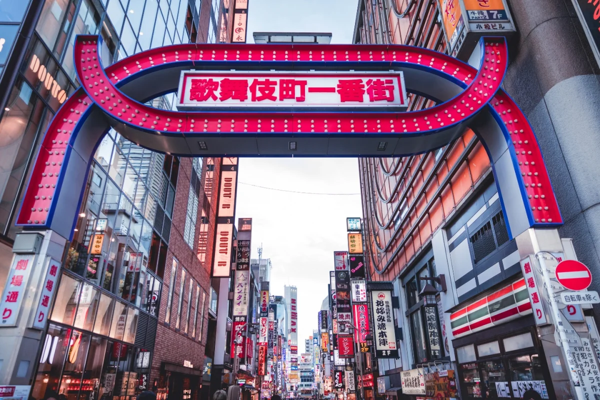 TOKYO JAPANESE EXPERIENCE - Escursioni