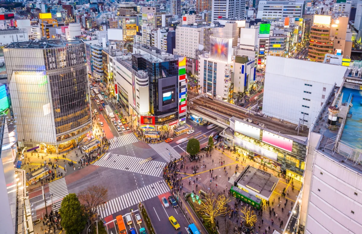 TOKYO JAPANESE EXPERIENCE - Escursioni