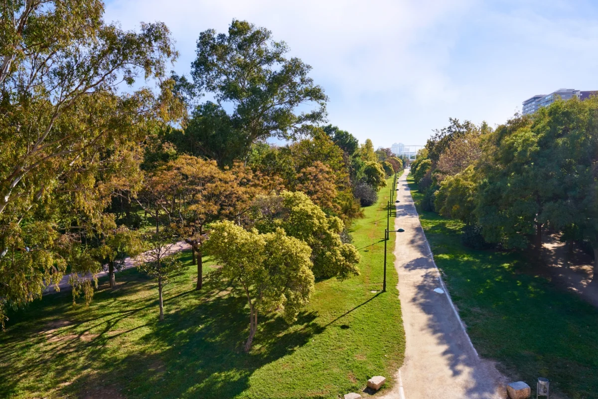 VALENCIA URBAN TRIP - Escursioni