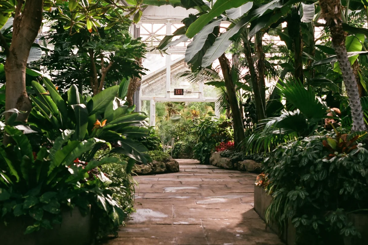 Toronto: Inglese nel True North - Escursioni