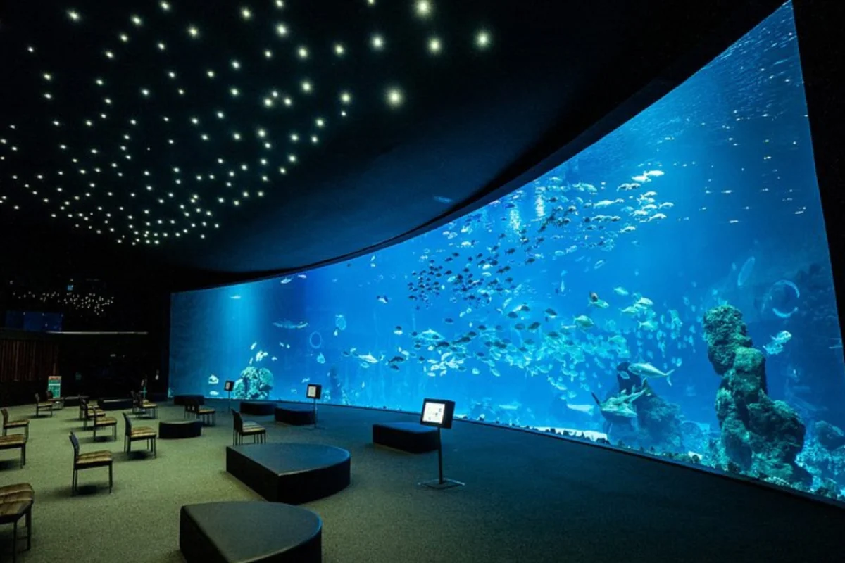 Gran Canarias Calling: Inglese o Spagnolo sull'Atlantico - Escursioni