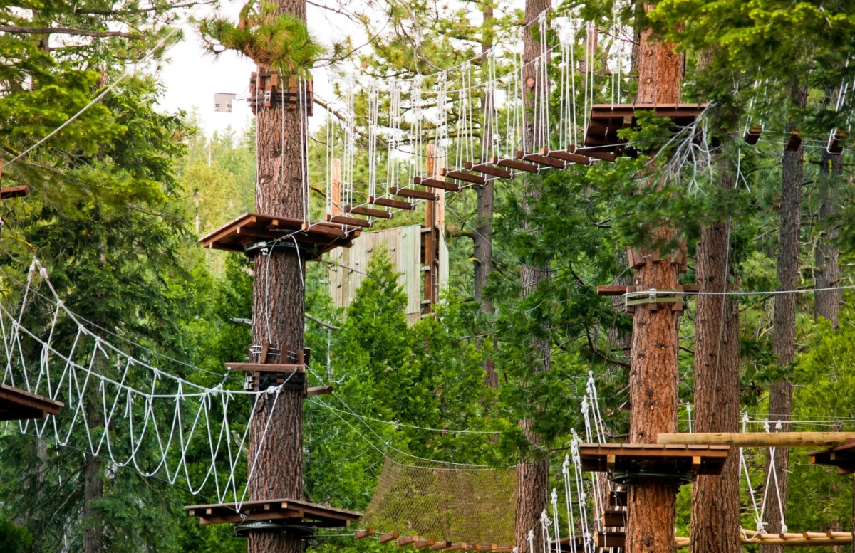 Tropea: Inglese sulla Costa degli Dei 8gg. - Escursioni