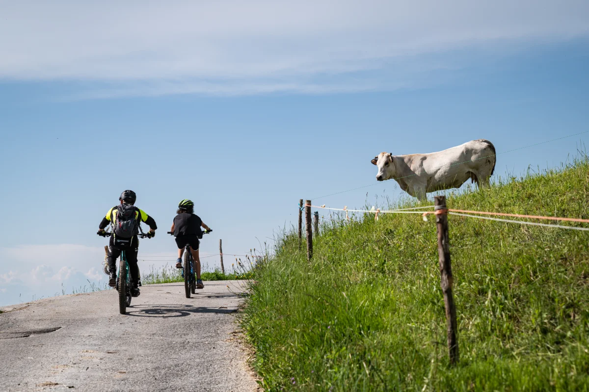 Frabosa: Avventura sulle Alpi Piemontesi 8gg. - Escursioni