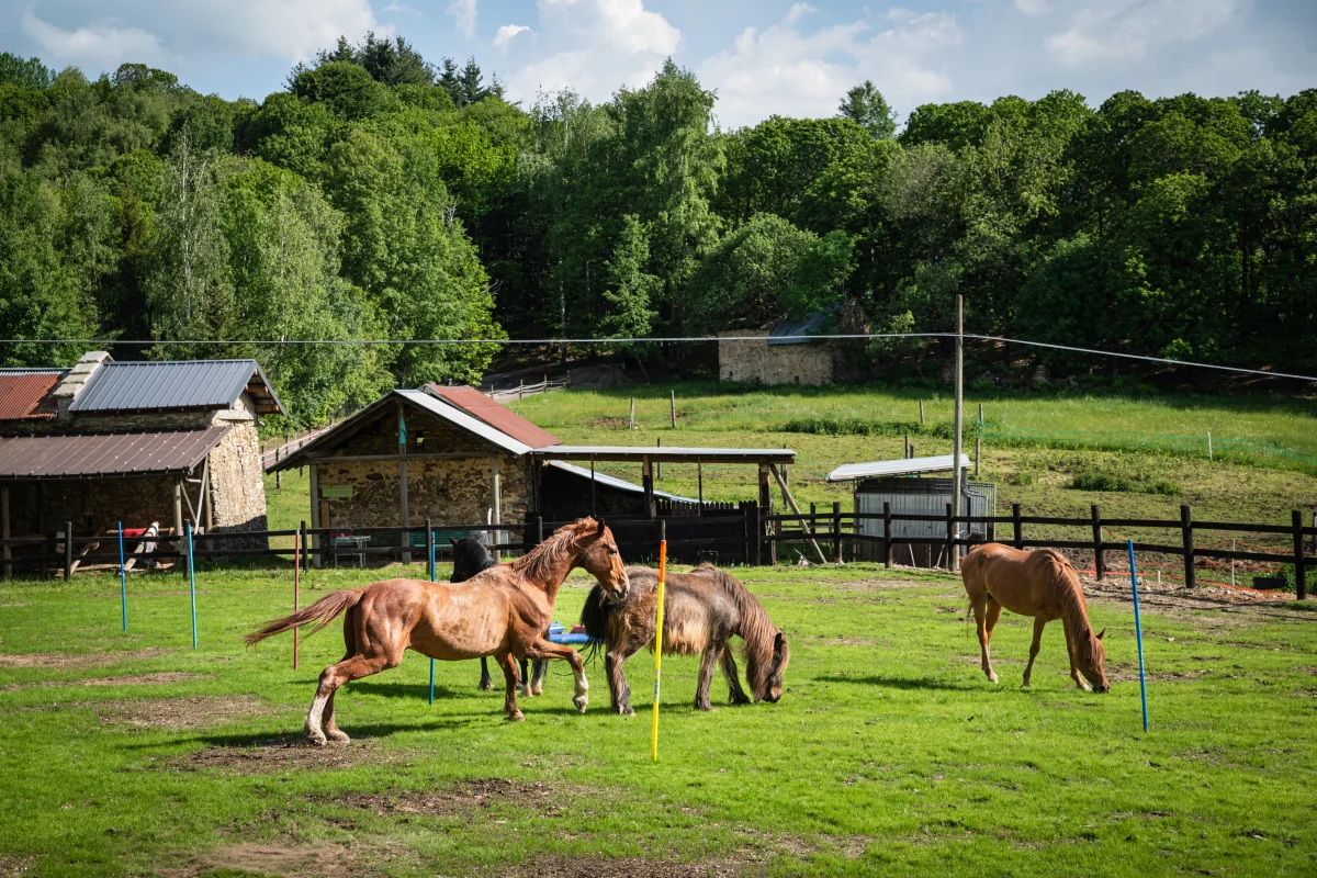 Frabosa: Avventura sulle Alpi Piemontesi 8gg. - Escursioni