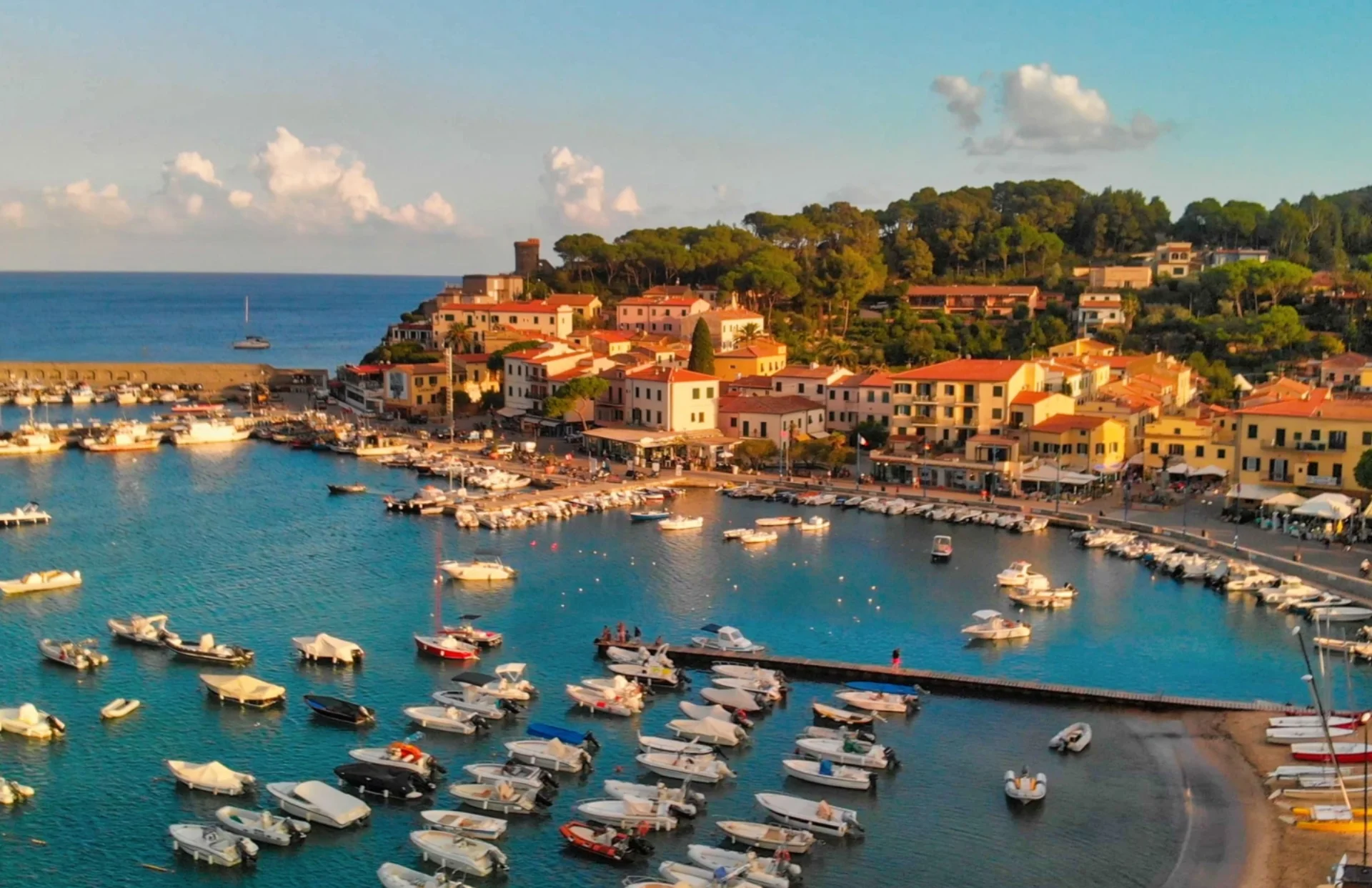 ISOLA D'ELBA INGLESE O DIVING  - Escursioni