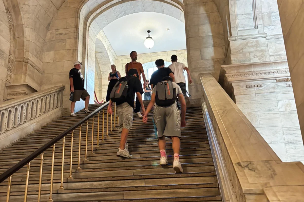 New York Skyline: Campus Vista Manhattan + Tour Harvard - Escursioni