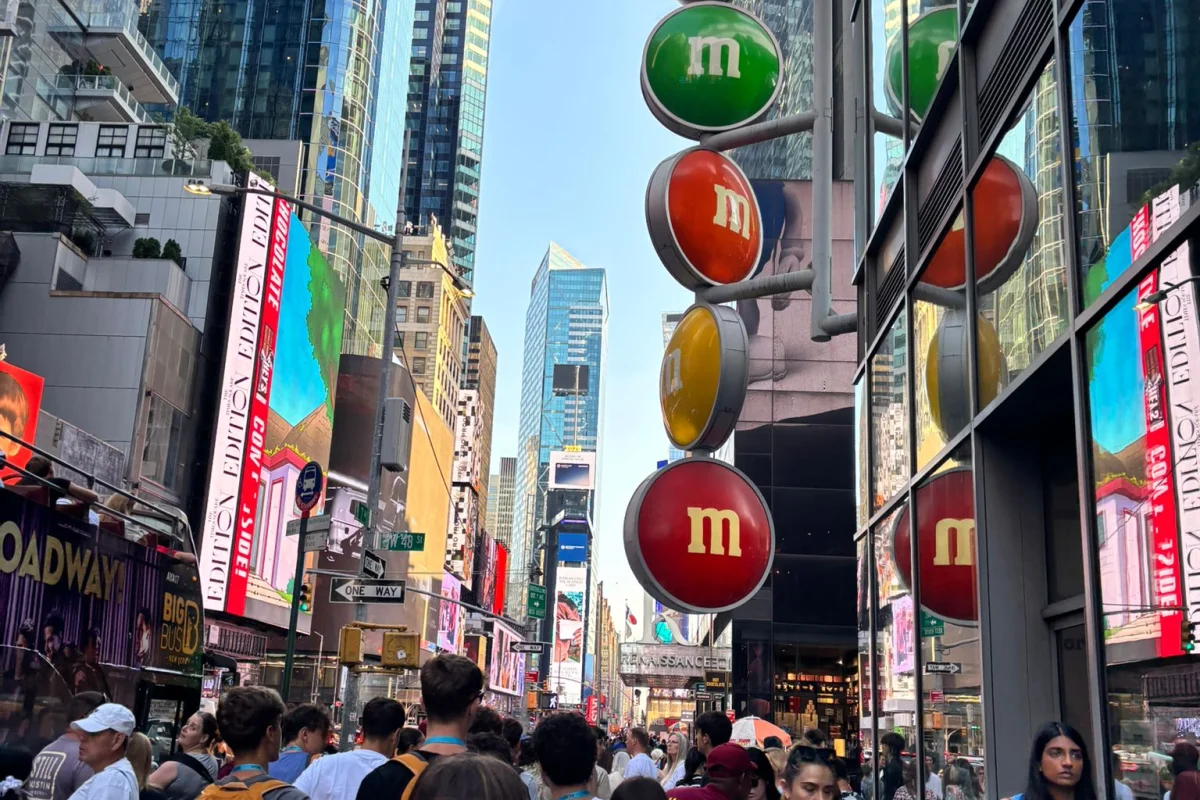 New York Skyline: Campus Vista Manhattan + Tour Harvard - Escursioni