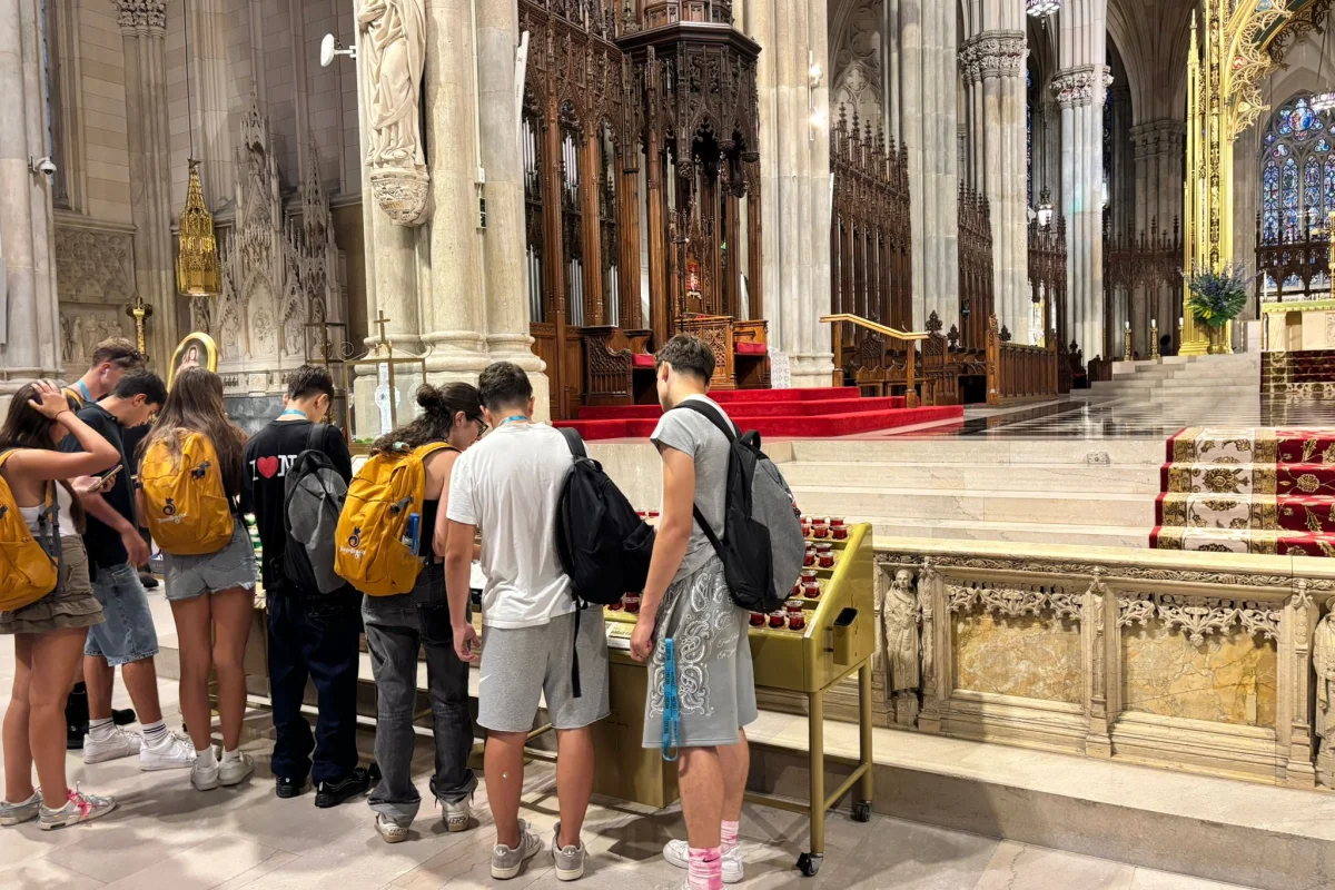 New York Skyline: Campus Vista Manhattan + Tour Harvard - Escursioni