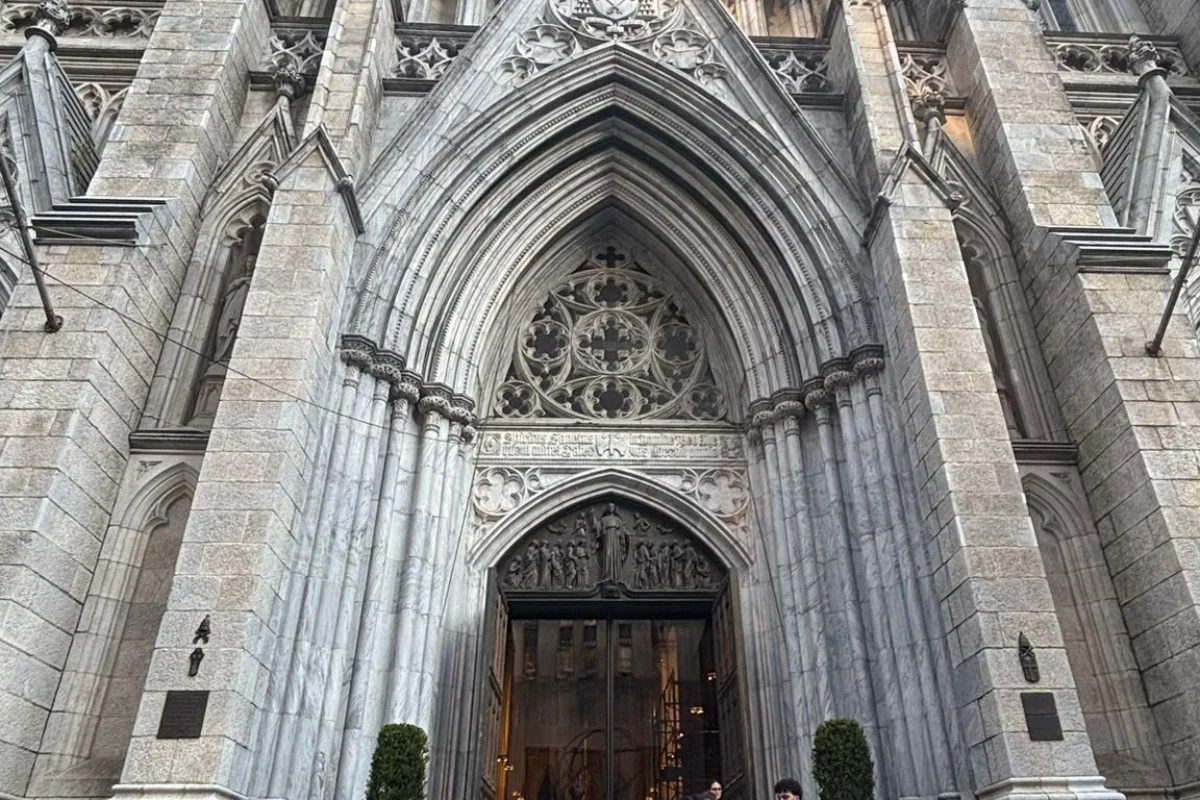 New York Skyline: Campus Vista Manhattan + Tour Harvard - Escursioni