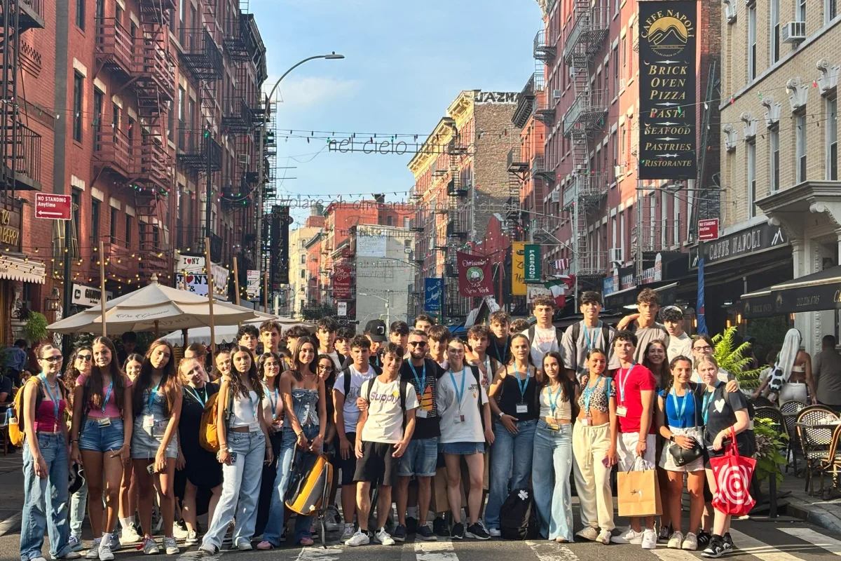 New York Skyline: Campus Vista Manhattan + Tour Harvard - Escursioni