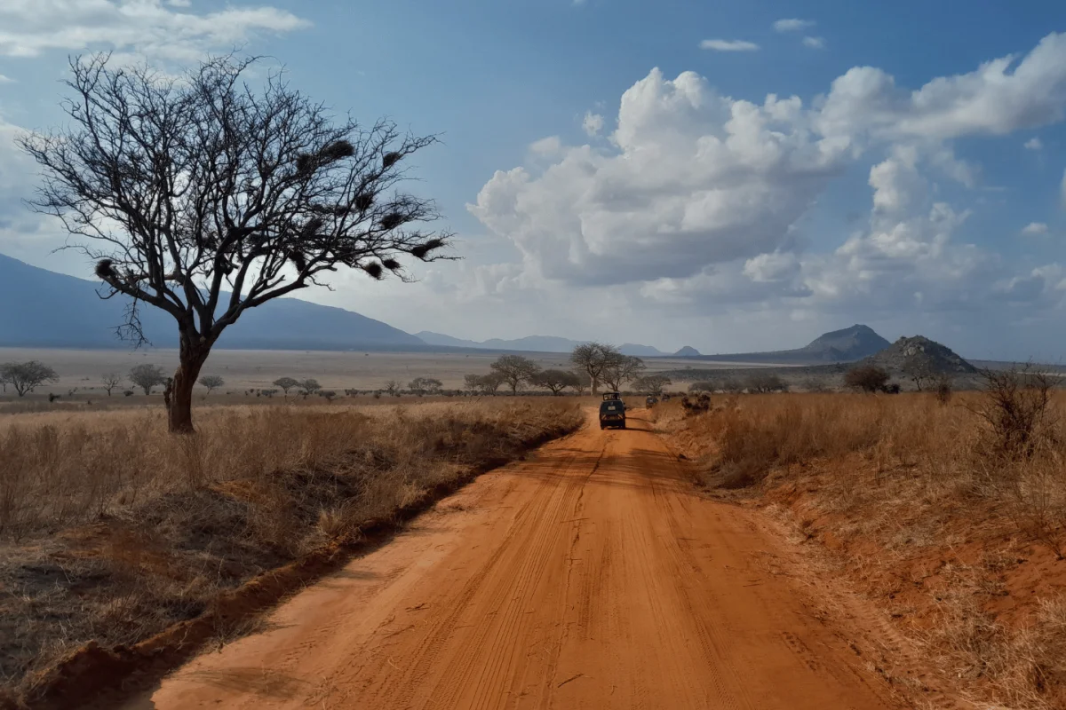 SHARM EL SHEIKH SUMMER VIBES - Escursioni