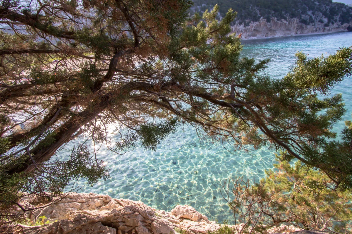 Sardegna Cala Gonone  Palmasera: Minicrociera & Inglese 8gg. - Escursioni