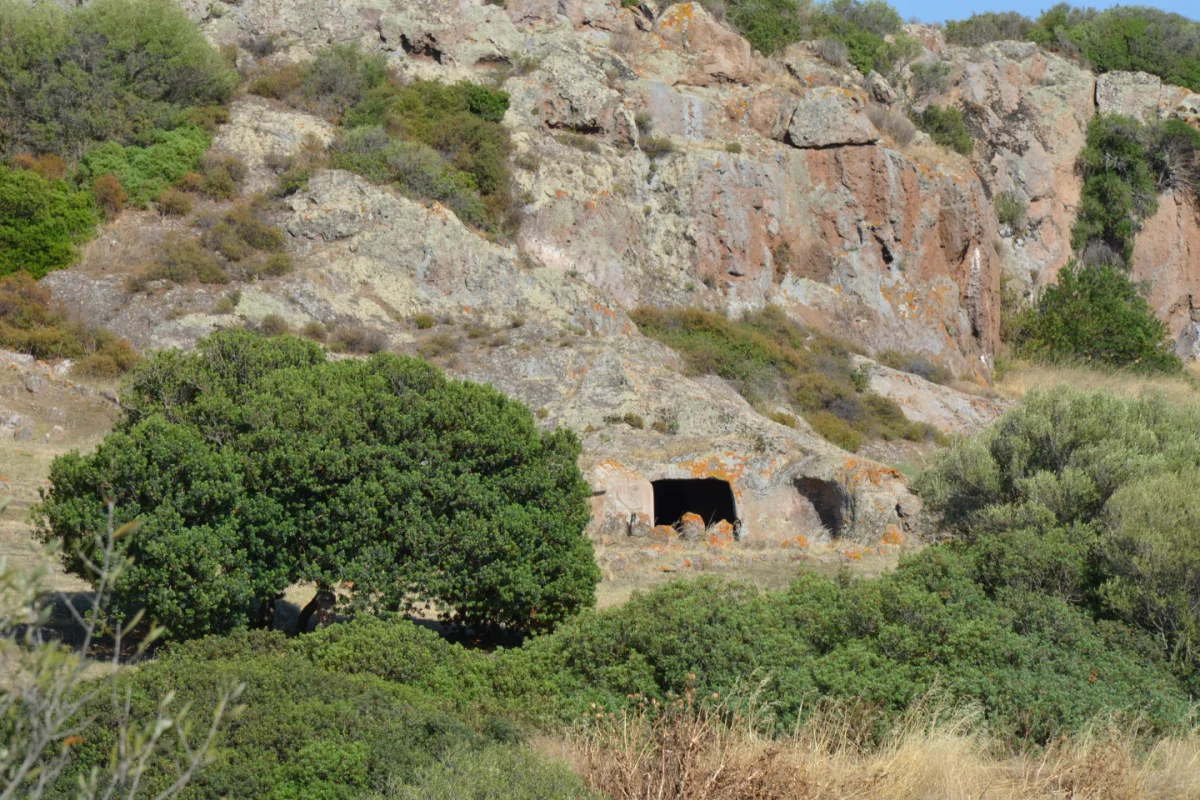 Sardegna Cala Gonone  Palmasera: Minicrociera & Inglese 8gg. - Escursioni