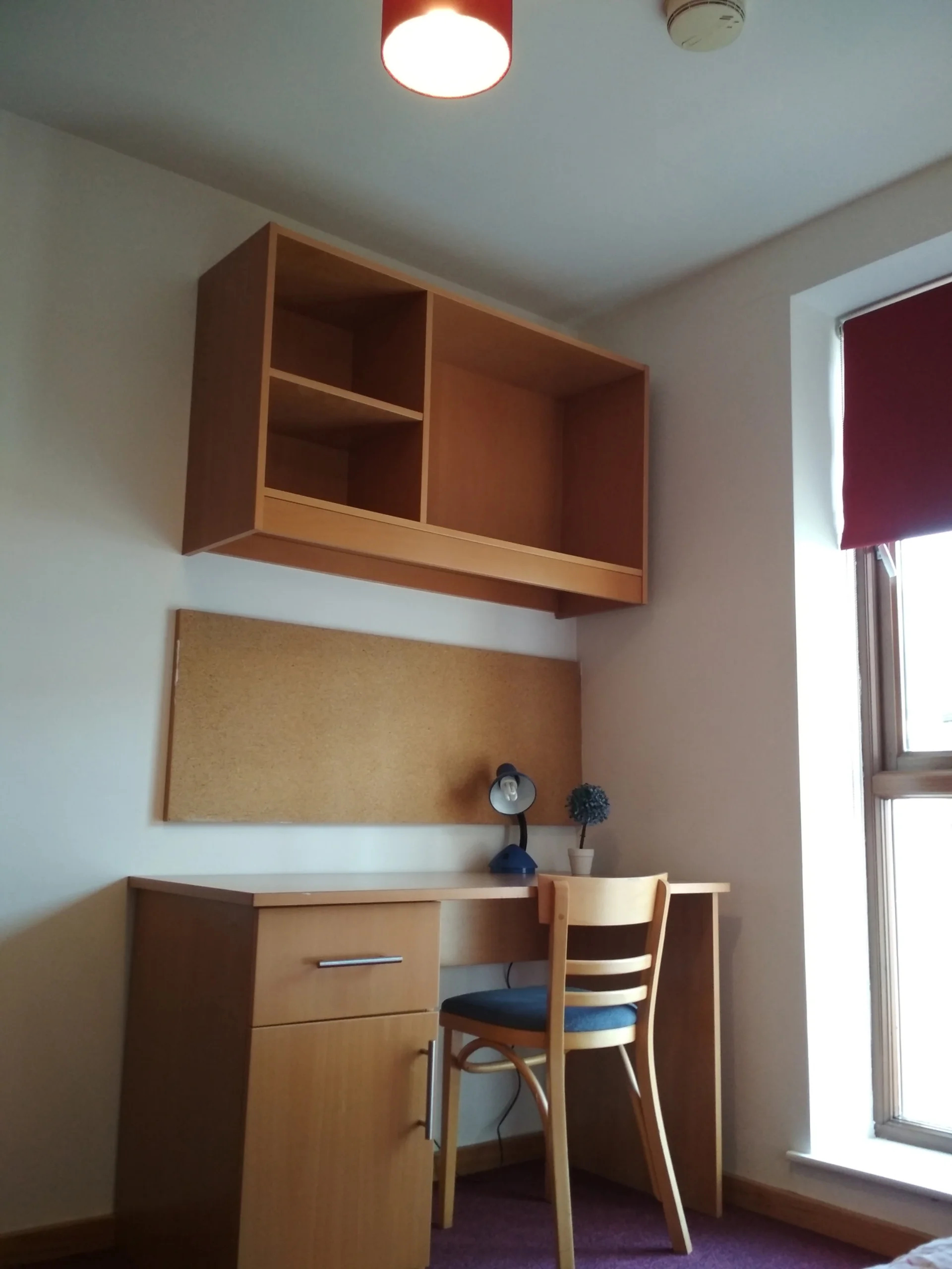 Gallery 336c79